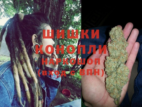 шишки Бугульма