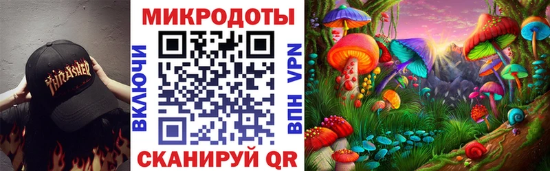 ОМГ ОМГ зеркало  Закаменск  Псилоцибиновые грибы Magic Shrooms 
